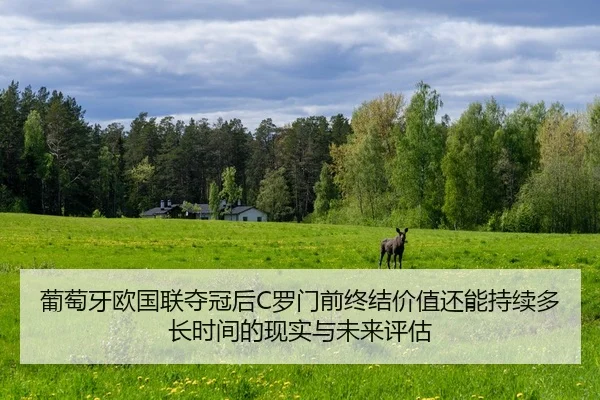 葡萄牙欧国联夺冠后C罗门前终结价值还能持续多长时间的现实与未来评估
